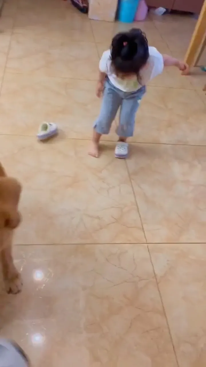 Short funny dog video with an adorable dog reaction and cute pet comedy moment