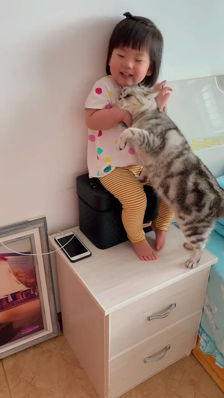 Best funny cat reactions compilation with dramatic feline moments