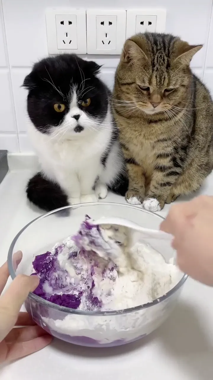 Food fail viral moment in the kitchen with a hilariously unexpected cooking disaster result