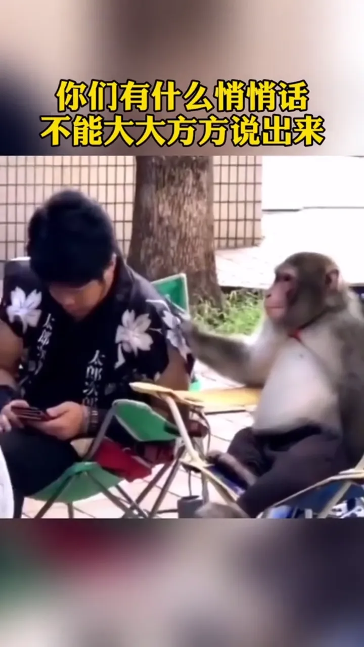 Hilarious moment of someone communicating with animals in an unexpectedly funny way