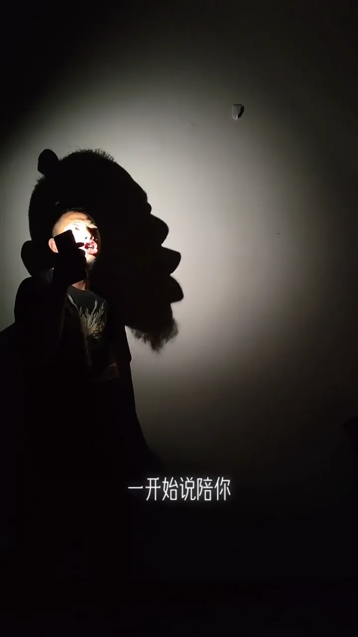 Creative shadow play that transforms ordinary hand movements into extraordinary silhouette art