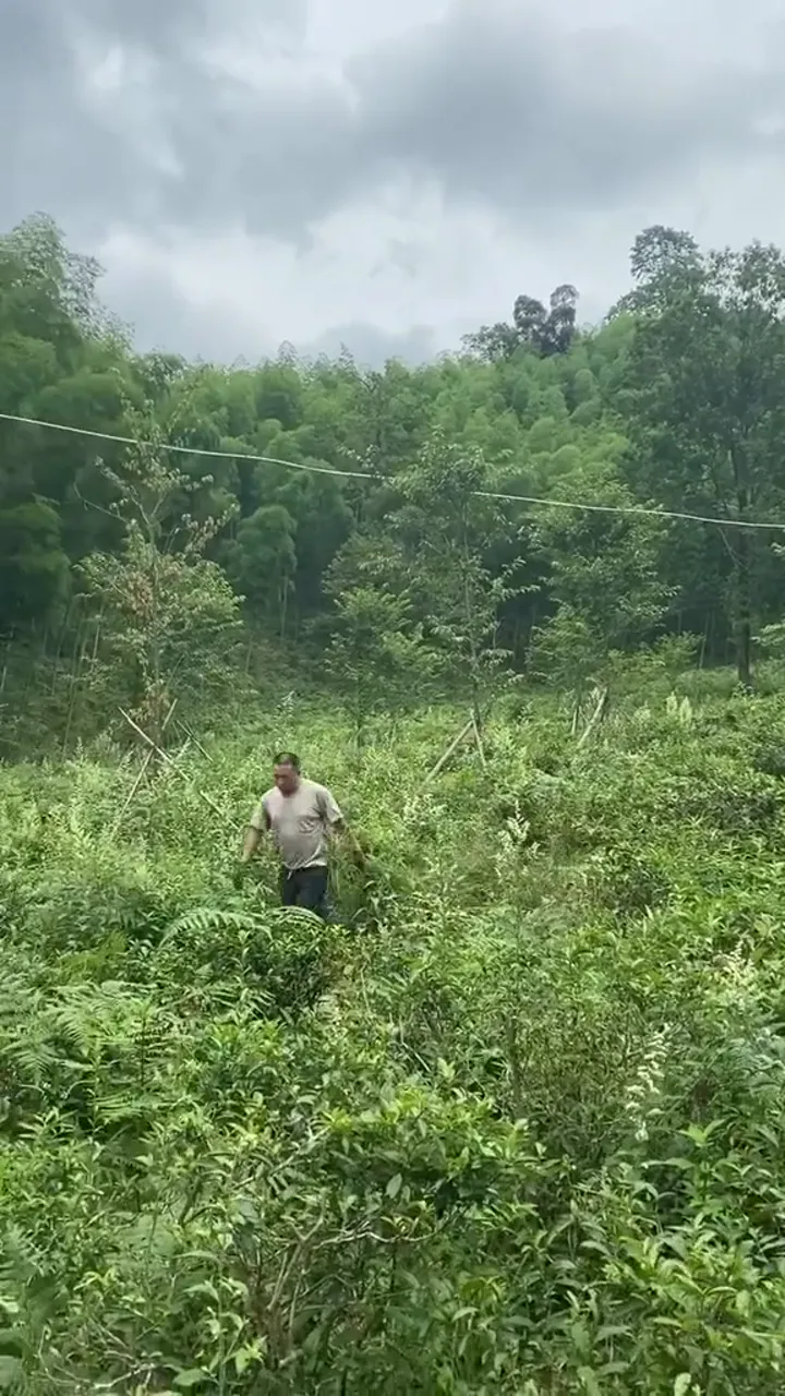 Experienced worker using a clever shortcut that saves hours of effort