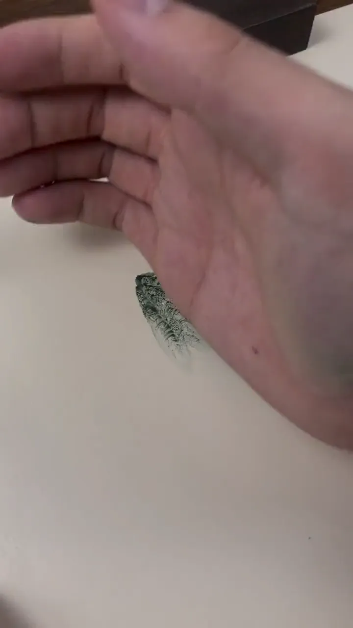 Quick demonstration of painting skill passed down through generations