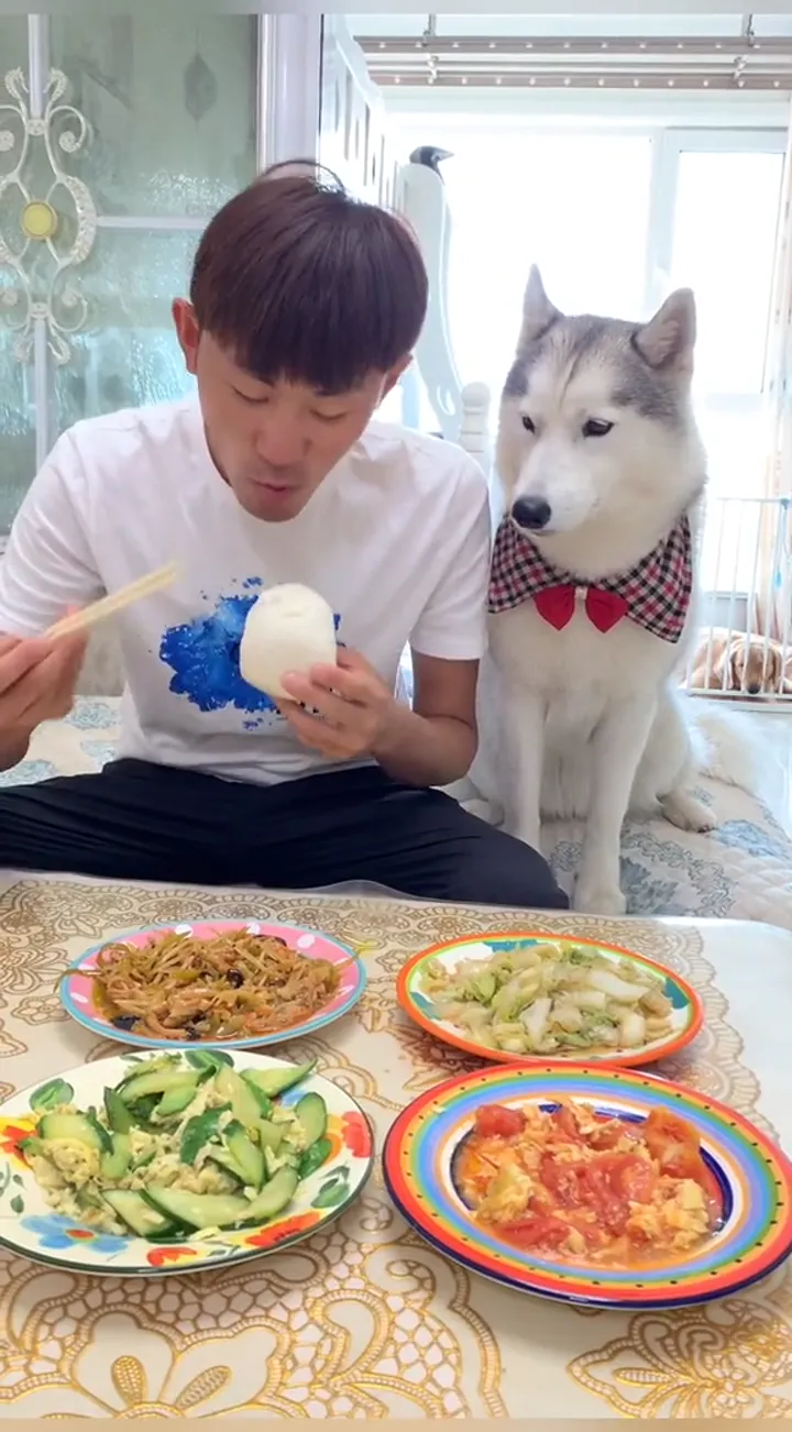 Big dog acting brave then immediately regretting it in a funny pet reaction