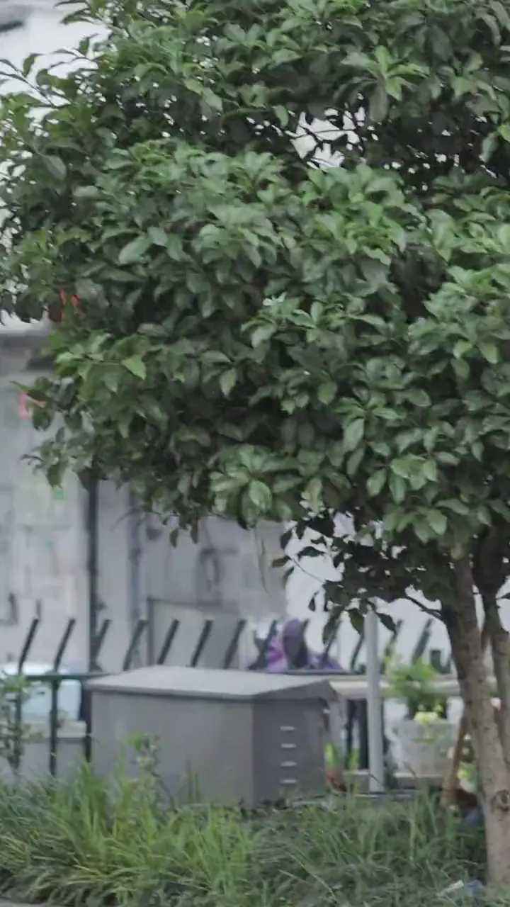 Two best friends on campus laughing uncontrollably at a funny situation
