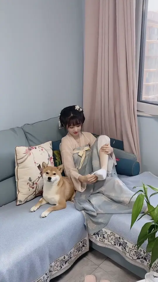 Pet sitting calmly on a sofa beside a girl like a serious family member