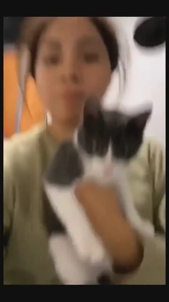 Cat freezing after a sudden harmless surprise in a funny short cat video