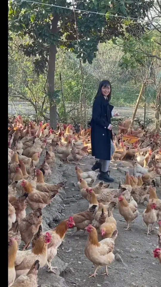 Animal reacting to a sudden harmless surprise in a funny animal video